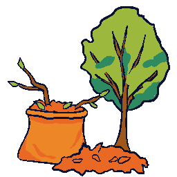 Yard and Landscape Debris Removal North Houston