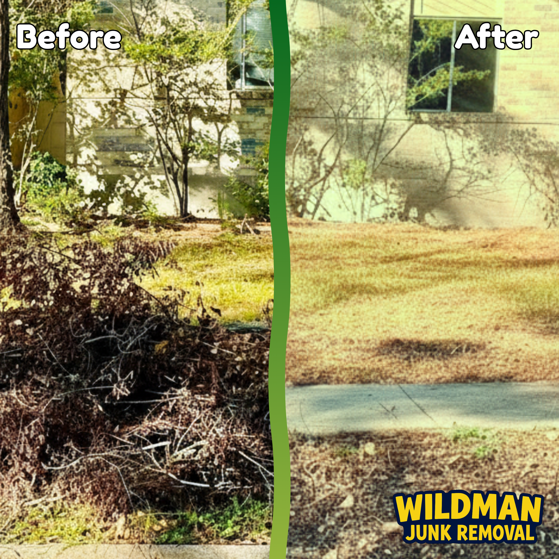 Landscape Debris Removal Before and After